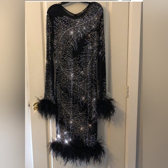 Fashion Nova Plus Size Feather Trim Beaded Sheer Mesh Dress - Picture 11 of 15